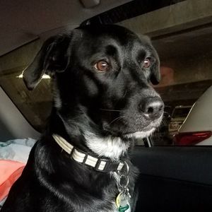 Meet your Posher, Tasha